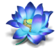 Lotus 
					Travel Deals Logo